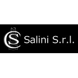Salini S.r.l.